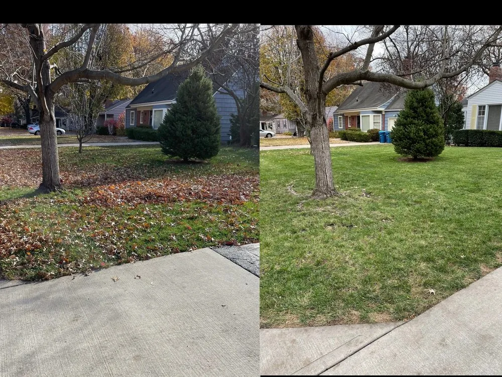 Trusted yard cleanup service for homes in Overland Park, KS by Quick's Lawn Maintenance