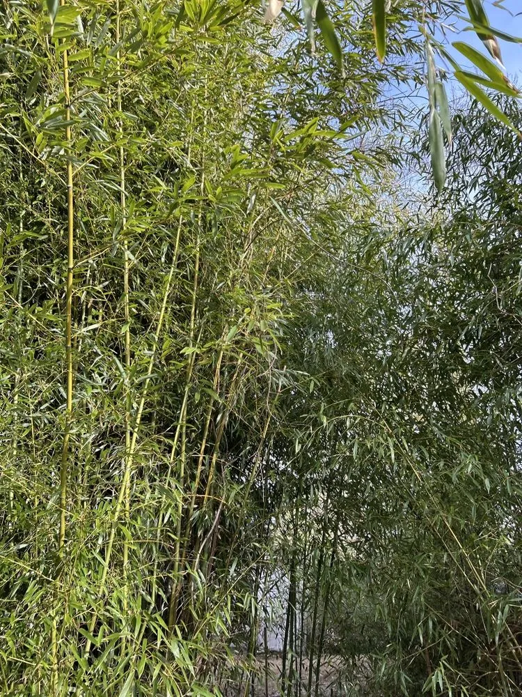 Top-rated outdoor landscaping experts serving Haverstraw, NY - Quicky Homecare