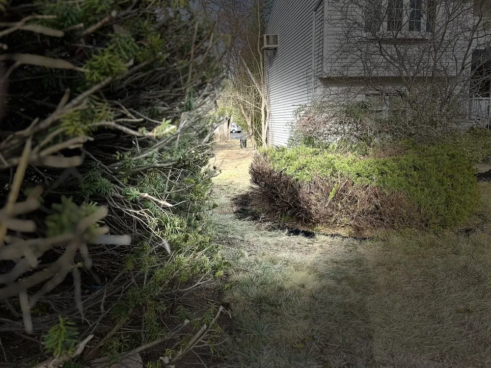 Trusted yard maintenance in Haverstraw, NY by Quicky Homecare