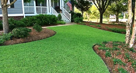 Trusted residential landscaping for residential properties in Bluffton, SC by Quiet Cut Lawn Care