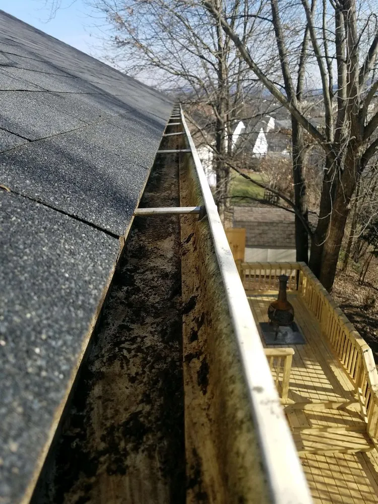 Expert lawn care service with custom design across Mount Joy, PA - Quiet Cut Mowing and More