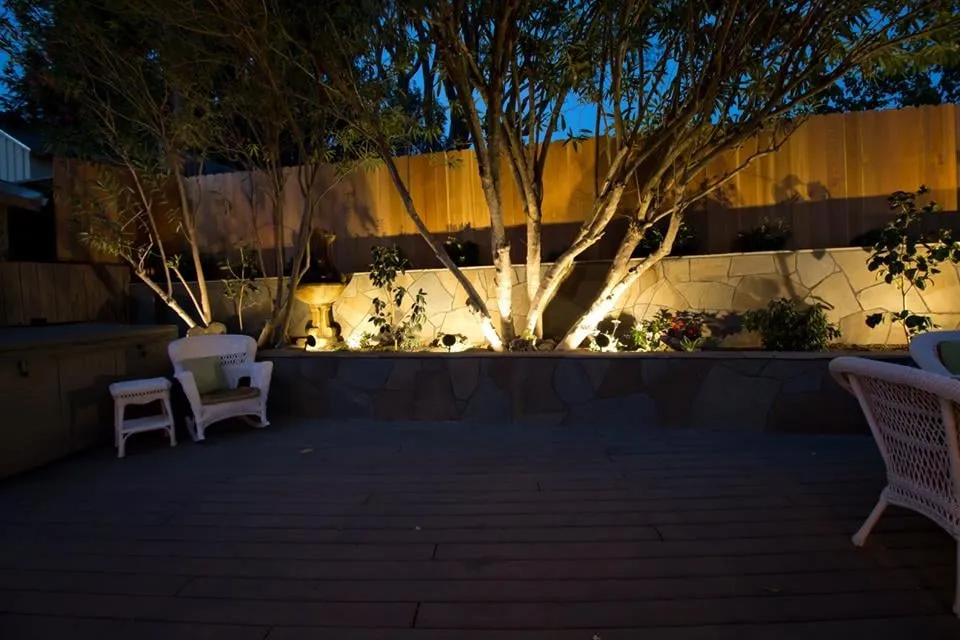 Expert yard cleanup service for residential properties across Santa Rosa, CA - Quiet Elegance Landscape