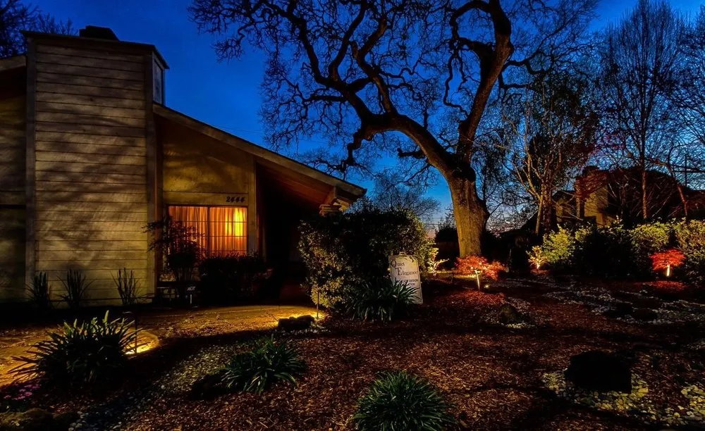 Professional yard cleanup service experts serving Santa Rosa, CA - Quiet Elegance Landscape