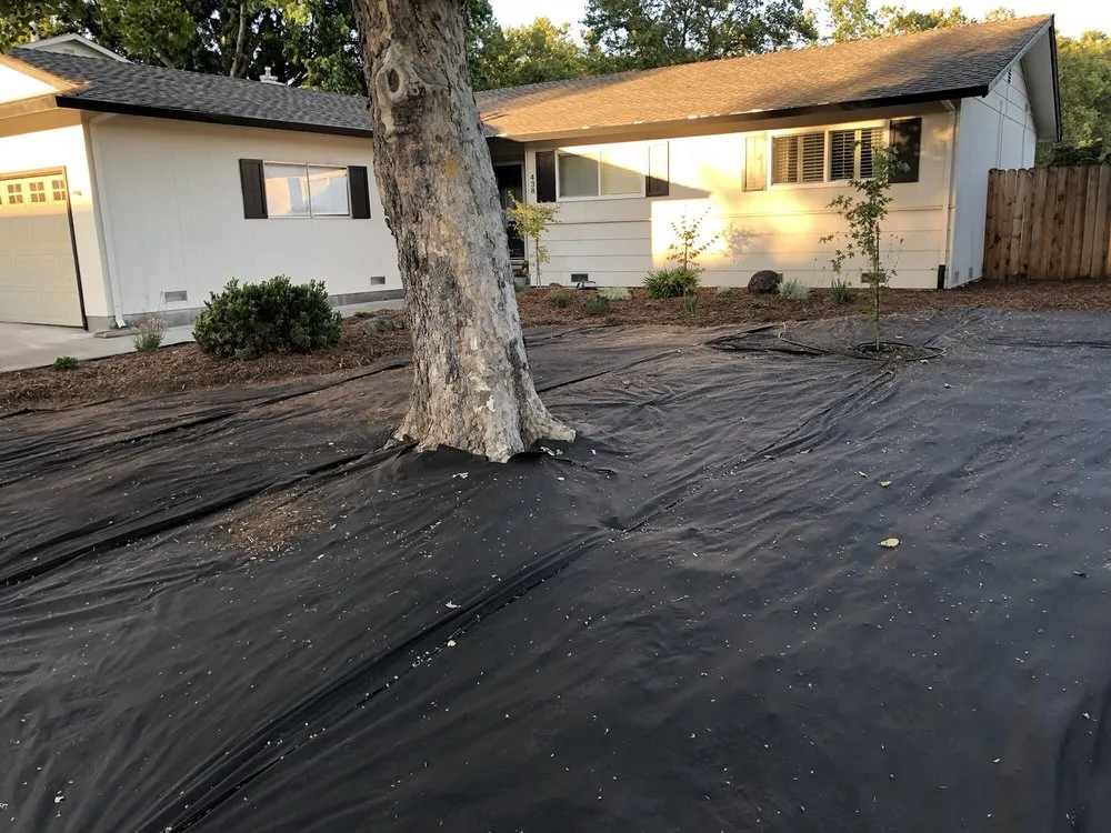 Custom landscape installation for residential properties in Santa Rosa, CA by Quiet Elegance Landscape