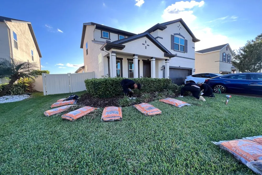 Professional landscape installation near you in St. Cloud, FL by Quiet Guys Lawn Care
