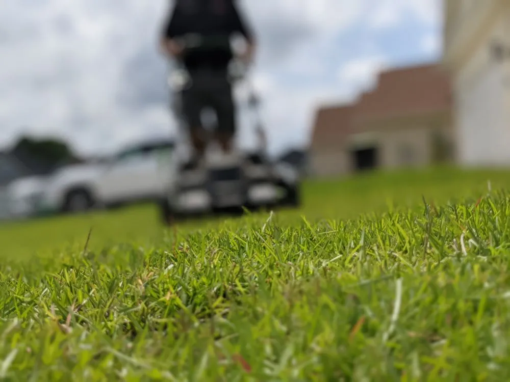 Local outdoor landscaping in Longs, SC by Quiet Lawn