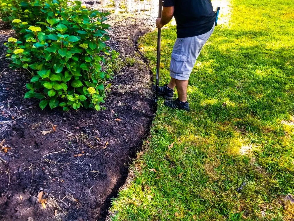 Custom yard maintenance in Longs, SC - Quiet Lawn