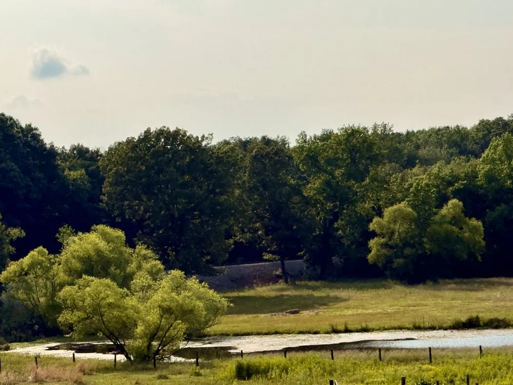 Local garden landscaping for residential properties across Portland, TN - Quiet Life Ranch