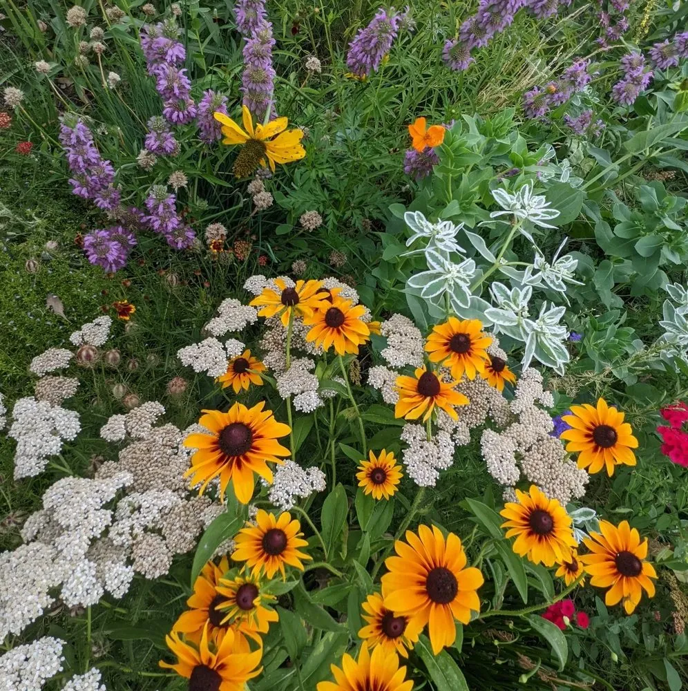 Custom yard cleanup service for year-round maintenance in St. Louis, MO by Quiet Village Landscaping