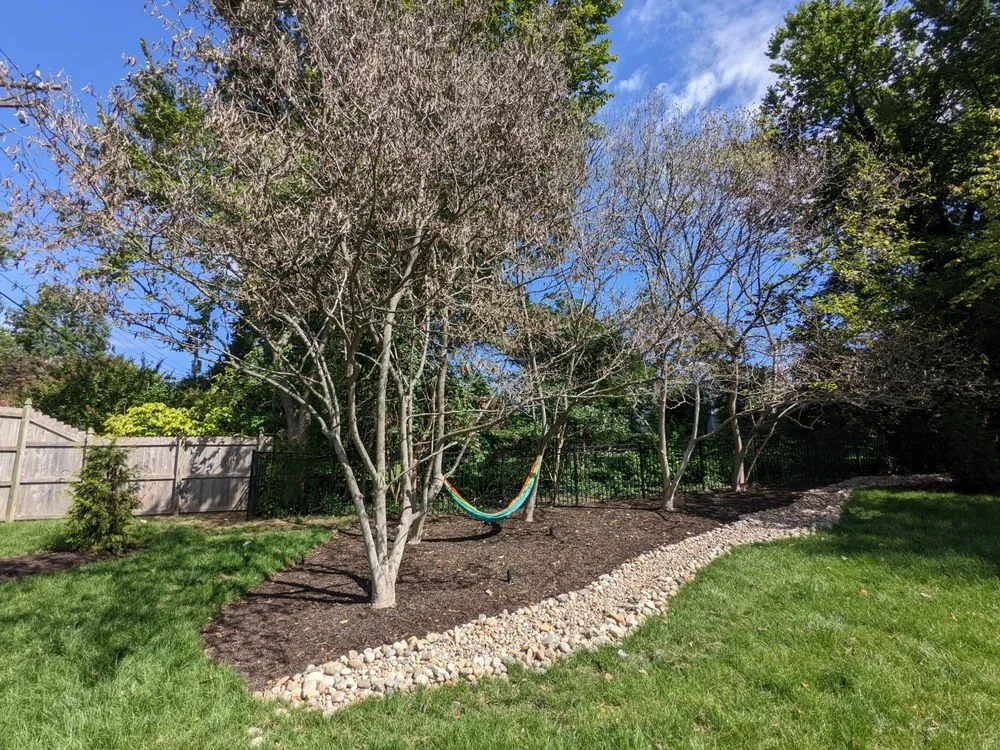 Expert lawn care service in St. Louis, MO - Quiet Village Landscaping