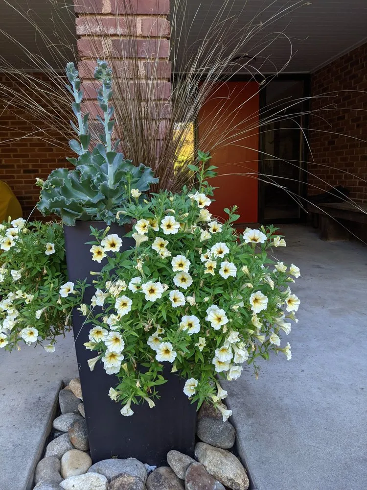 Affordable landscape installation for outdoor upgrades in St. Louis, MO by Quiet Village Landscaping