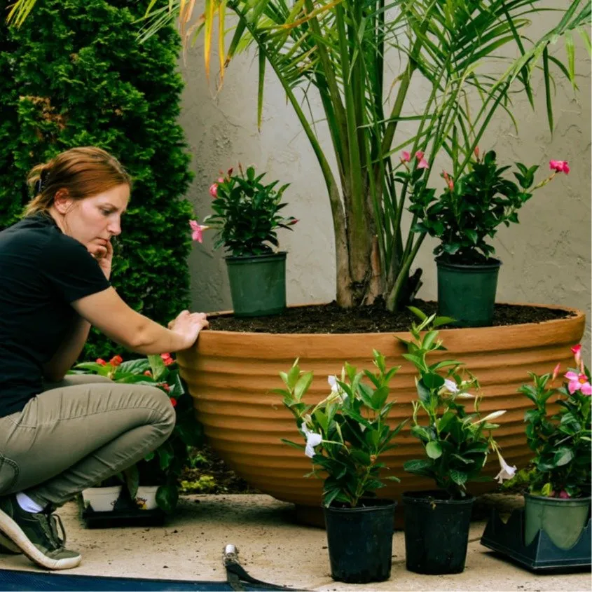 Custom lawn care service in St. Louis, MO by Quiet Village Landscaping