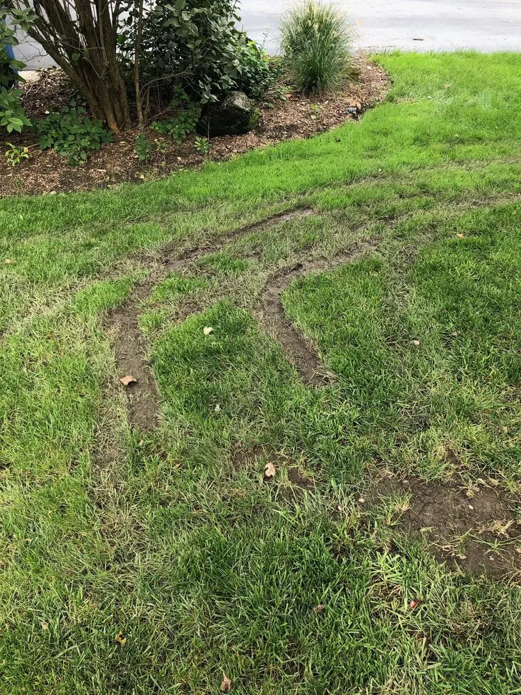 Affordable yard cleanup service in Elk Grove Village, IL by Quigley's Lawn & Snow