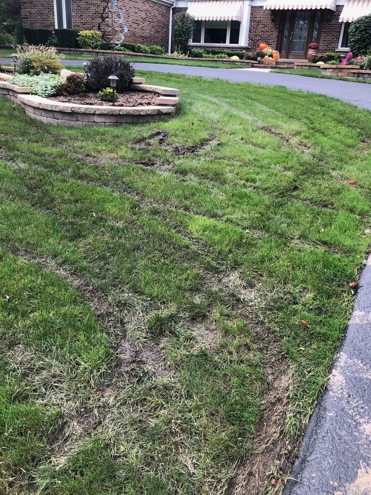 Trusted landscape design in Elk Grove Village, IL - Quigley's Lawn & Snow