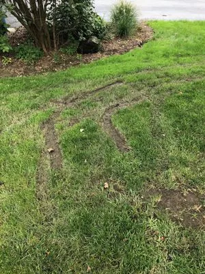 Quigley's Lawn & Snow