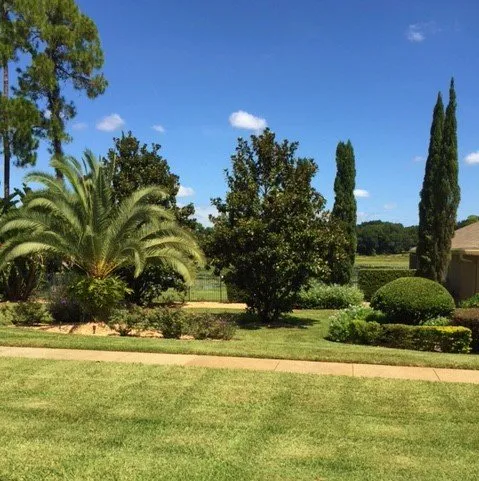 Affordable lawn care service experts serving Longwood, FL - Quik Care Services
