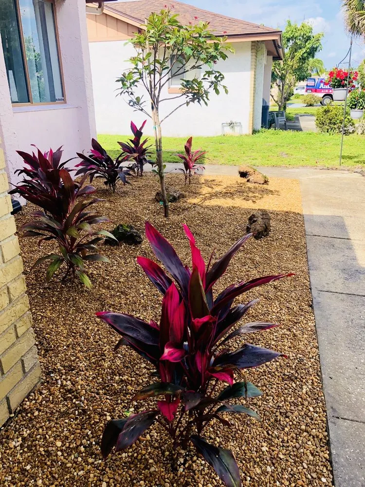 Top-rated lawn mowing service experts serving Longwood, FL - Quik Care Services