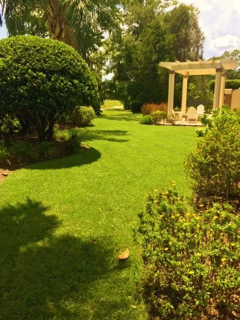 Reliable lawn mowing service in Longwood, FL by Quik Care Services