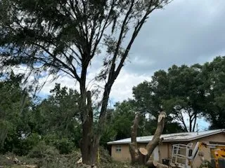 Trusted lawn mowing service in Bartow, FL - Quik Tree And Landscaping