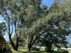 Expert landscape design in Bartow, FL - Quik Tree And Landscaping