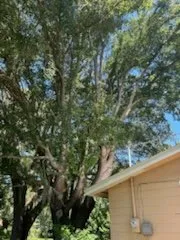Trusted residential landscaping in Bartow, FL by Quik Tree And Landscaping