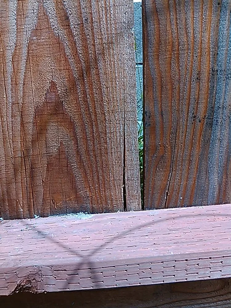 Top-rated landscape design experts serving Santa Cruz, CA - Quilici Gardening & Landscaping