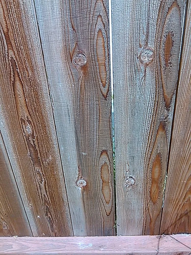 Affordable landscape design for residential properties in Santa Cruz, CA by Quilici Gardening & Landscaping