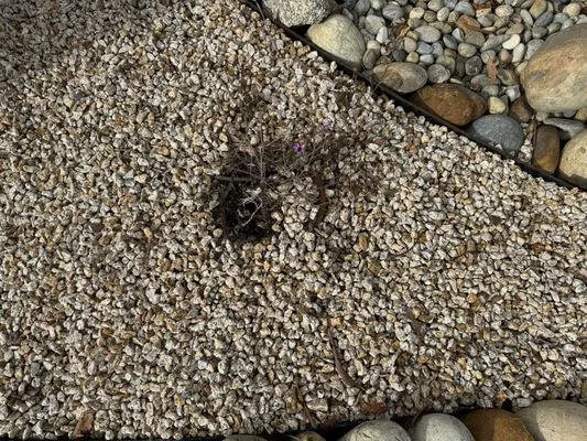 Quilici Gardening & Landscaping Logo