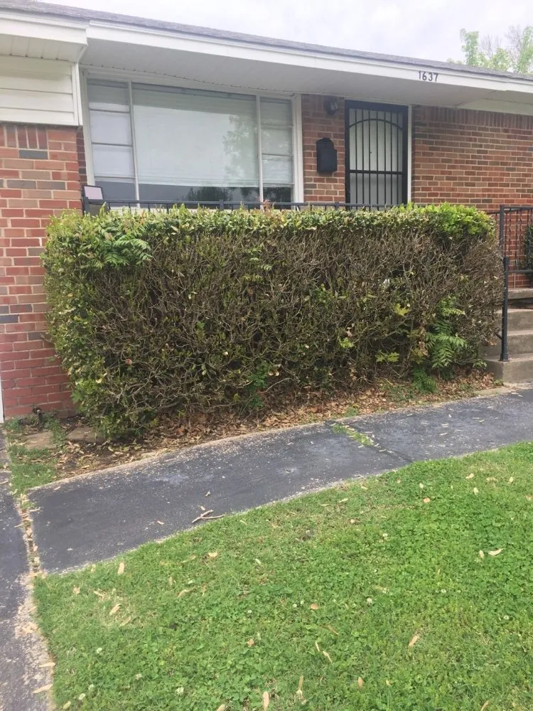 Trusted lawn mowing service in Tulsa, OK by Quimbys's Lawn & Tree Service