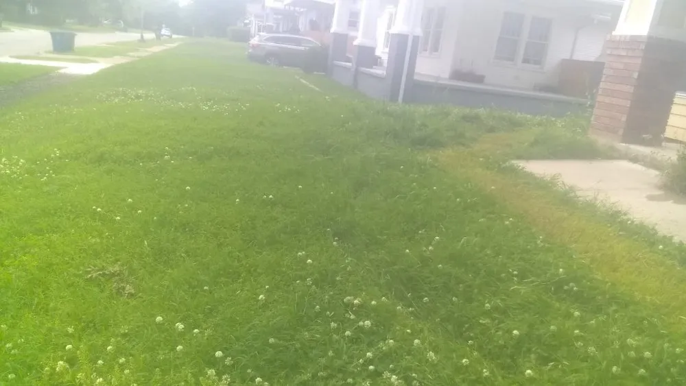 Reliable garden landscaping in Tulsa, OK by Quimbys's Lawn & Tree Service