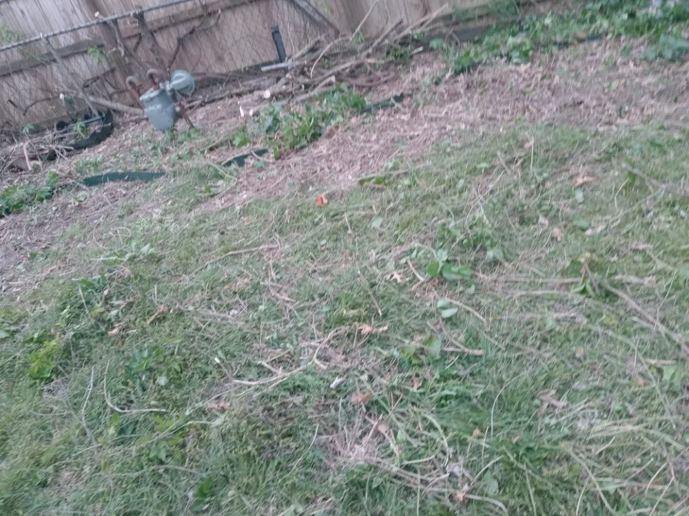 Trusted outdoor landscaping for residential properties in Tulsa, OK by Quimbys's Lawn & Tree Service