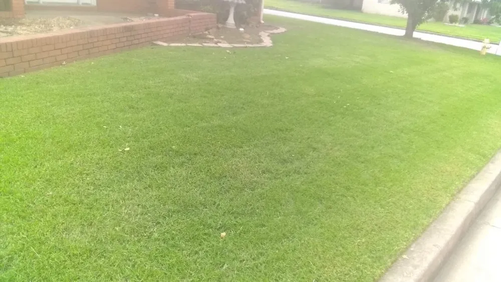 Professional yard maintenance with custom design in Tulsa, OK by Quimbys's Lawn & Tree Service