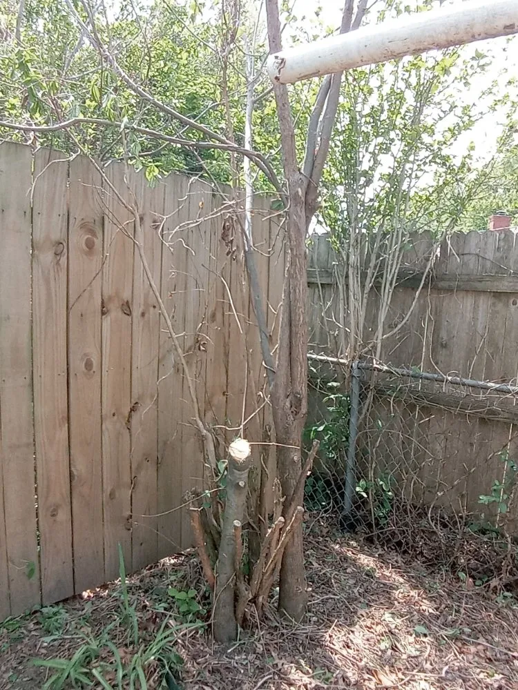 Professional residential landscaping in Tulsa, OK by Quimbys's Lawn & Tree Service