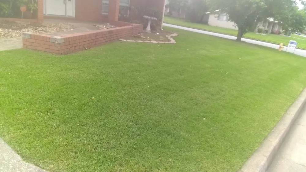 Top-rated lawn care service experts serving Tulsa, OK - Quimbys's Lawn & Tree Service