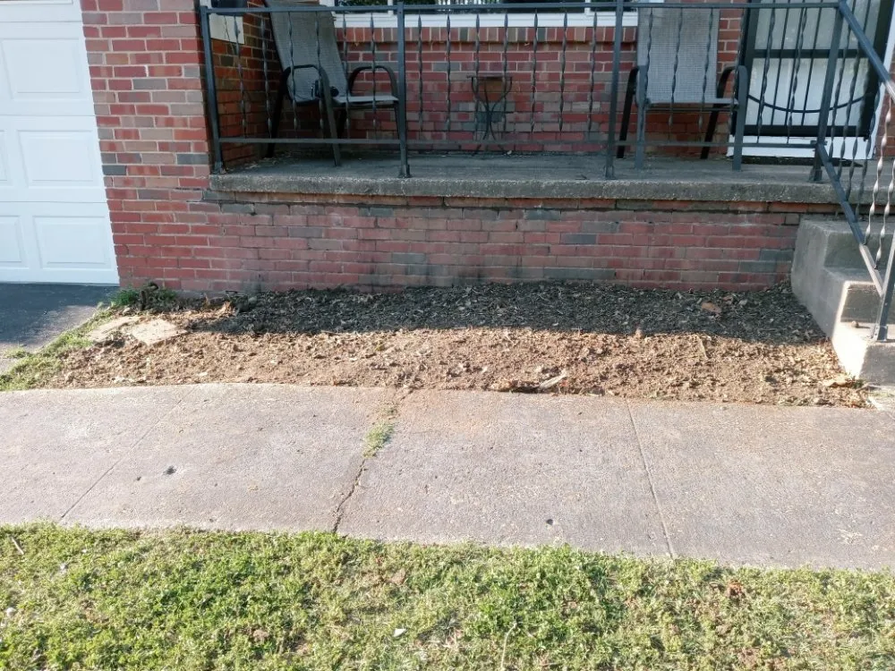 Affordable yard maintenance in Tulsa, OK by Quimbys's Lawn & Tree Service