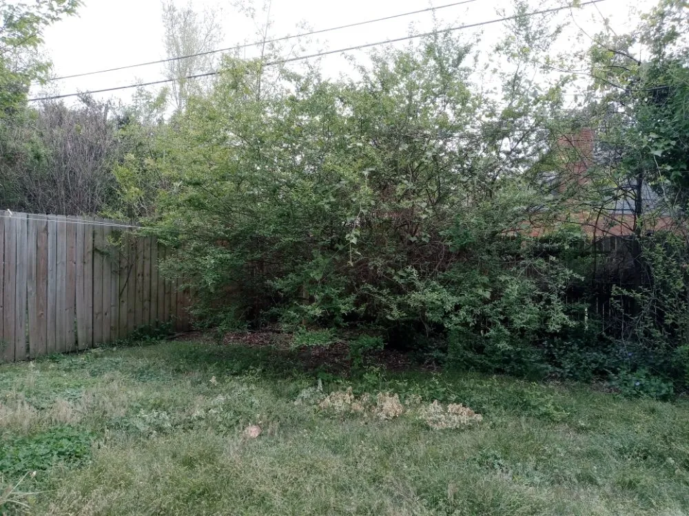 Top-rated garden landscaping for homes across Tulsa, OK - Quimbys's Lawn & Tree Service