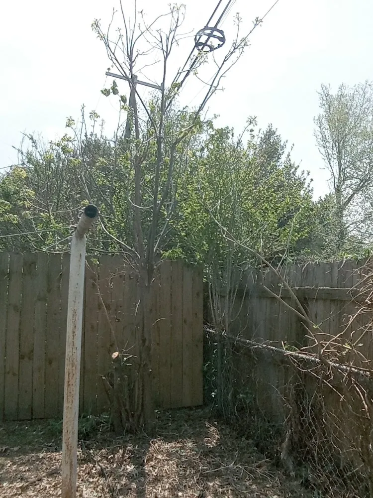 Top-rated landscaping services experts serving Tulsa, OK - Quimbys's Lawn & Tree Service