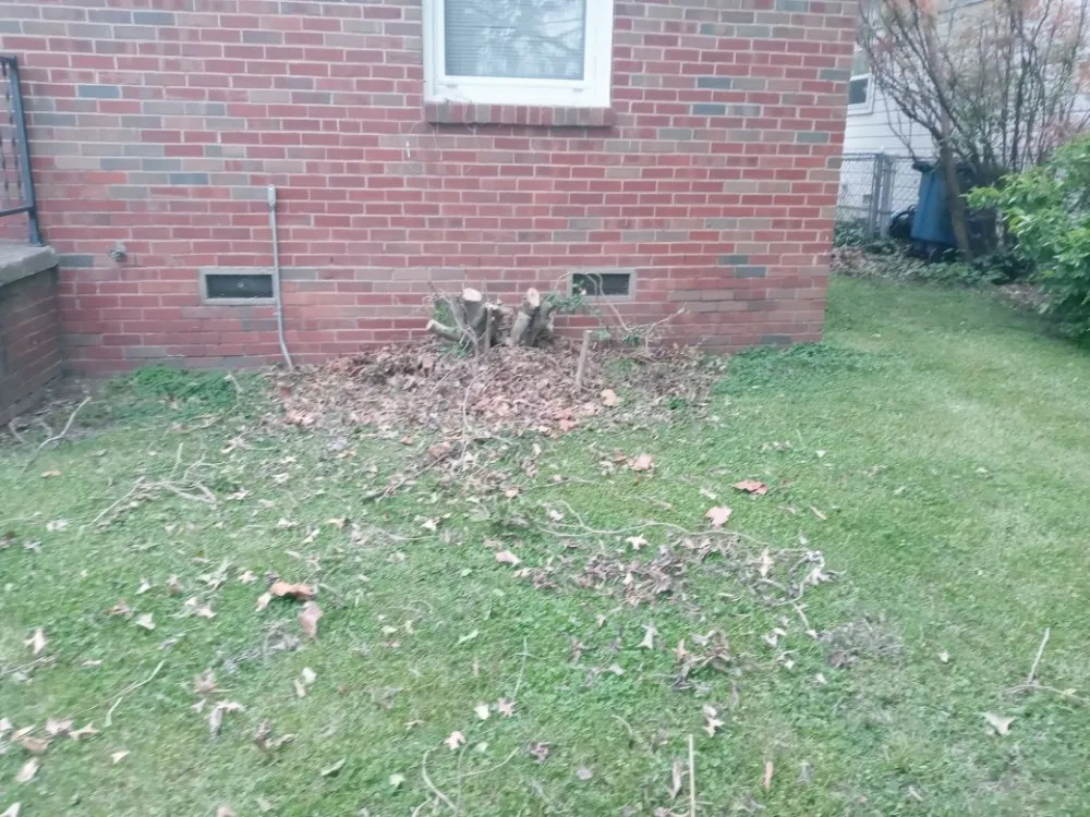 Local yard cleanup service experts serving Tulsa, OK - Quimbys's Lawn & Tree Service