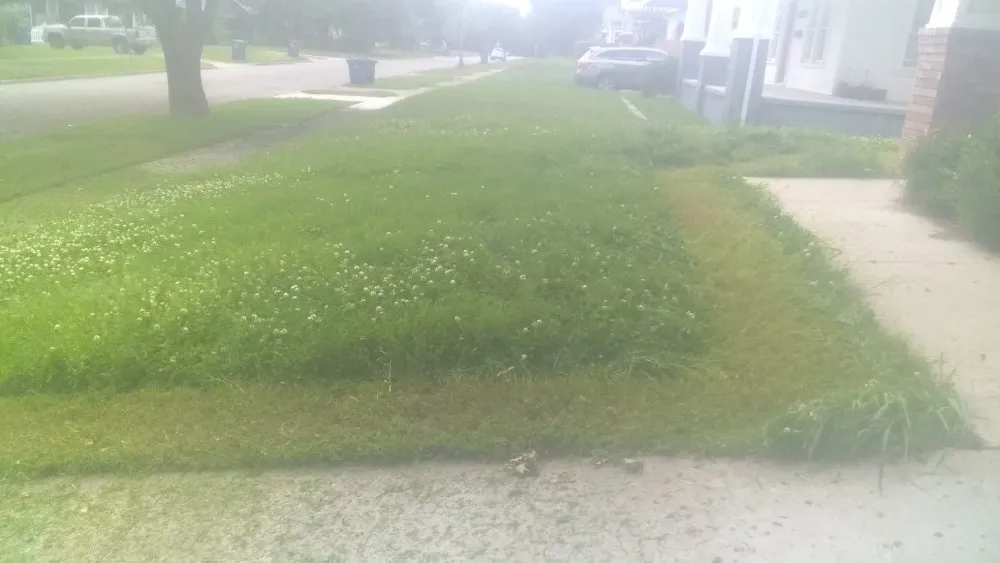 Expert landscaping services in Tulsa, OK - Quimbys's Lawn & Tree Service