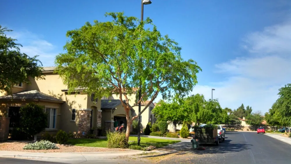 Affordable yard maintenance with custom design across Clovis, CA - Quinn & Co