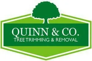 Top-rated landscape installation experts serving Clovis, CA - Quinn & Co