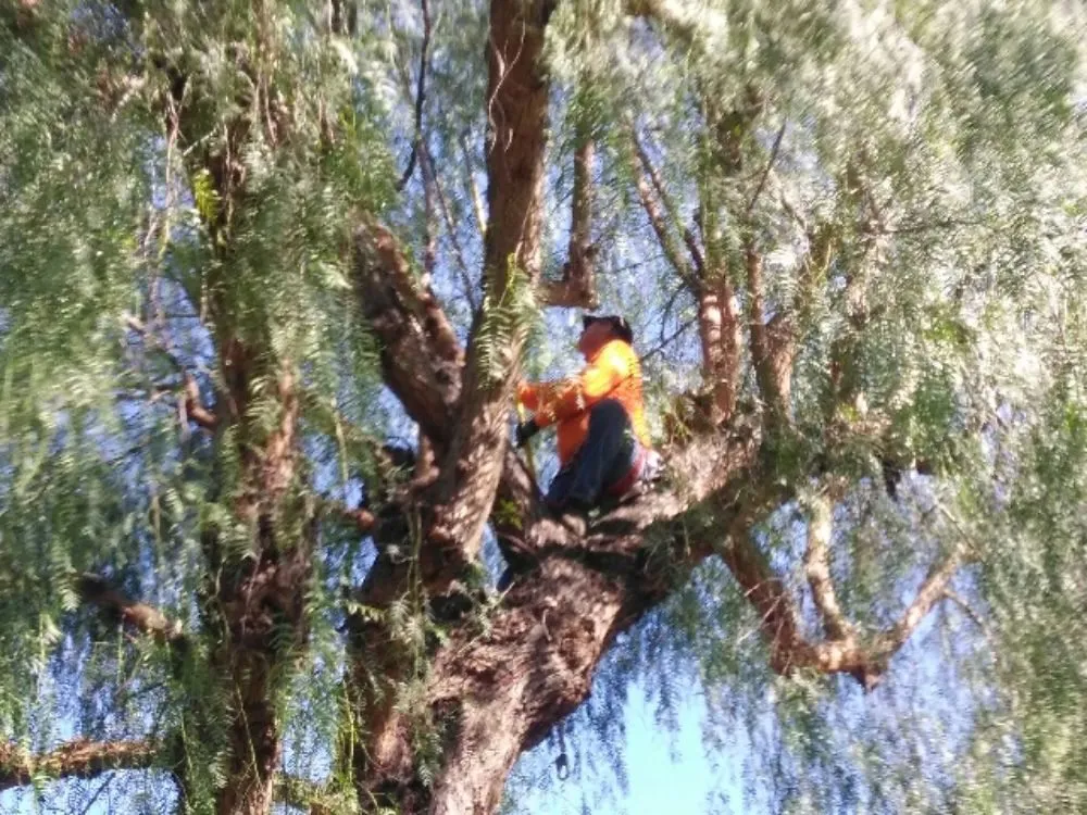 Trusted landscape installation experts serving Clovis, CA - Quinn & Co