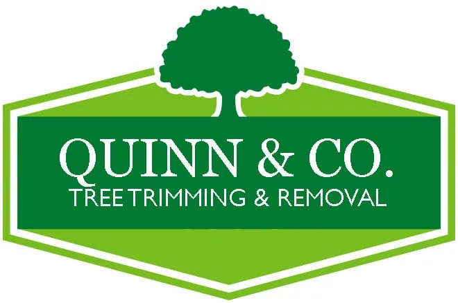 Reliable lawn care service in Clovis, CA by Quinn & Co