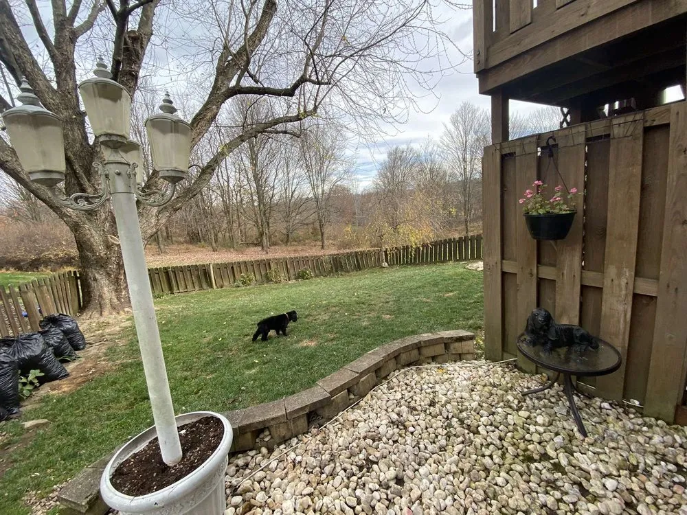 Expert yard cleanup service in Delmont, PA by Quinn Landscaping