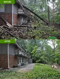 Local lawn care service for residential properties in Hudson, FL by Quinning Lawn Service And Property Maintenance