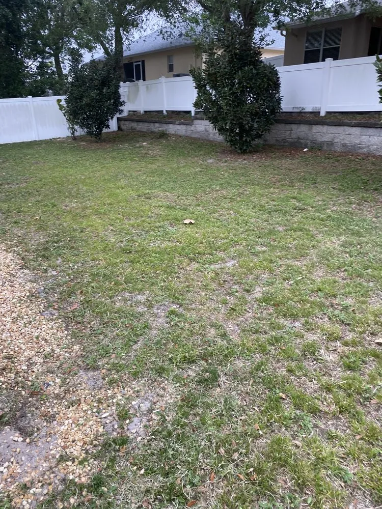 Trusted yard maintenance in Hudson, FL by Quinning Lawn Service And Property Maintenance