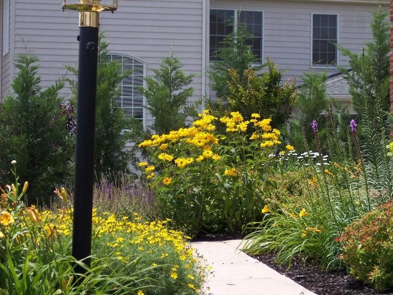 Reliable landscape installation in Manassas, VA by Quinn's Landscaping & Lawn Service