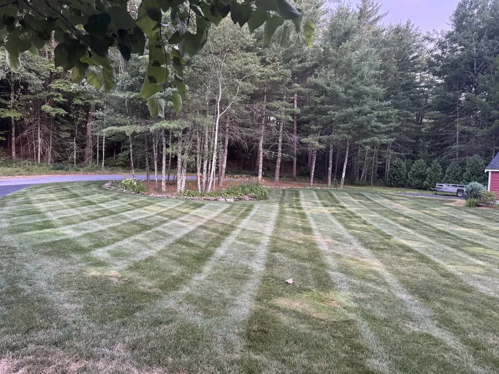 Expert landscape installation in Worcester, MA by Quinns Landscaping