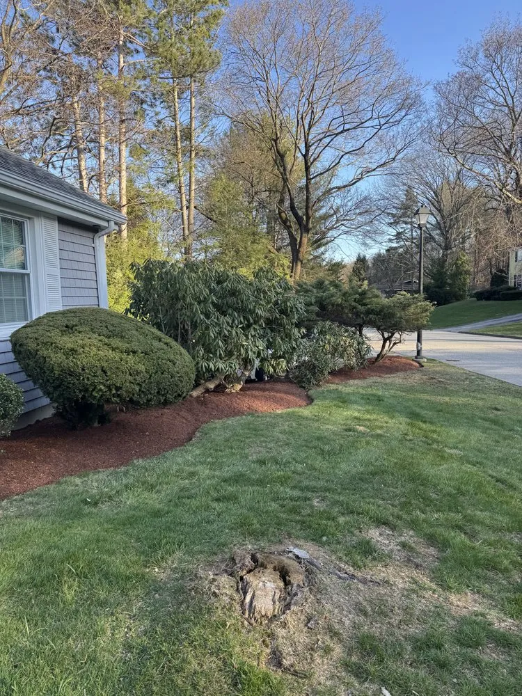 Top-rated yard maintenance experts serving Worcester, MA - Quinns Landscaping