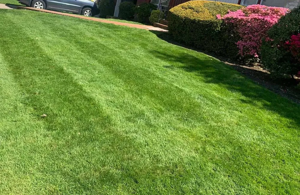 Expert lawn mowing service for residential properties across Palm Bay, FL - Quinn's Lawn&Landscaping
